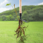 Arrache-mauvaises herbes à griffes, utilisation debout