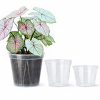 Pots de fleurs transparents avec trous de drainage, lot de 12