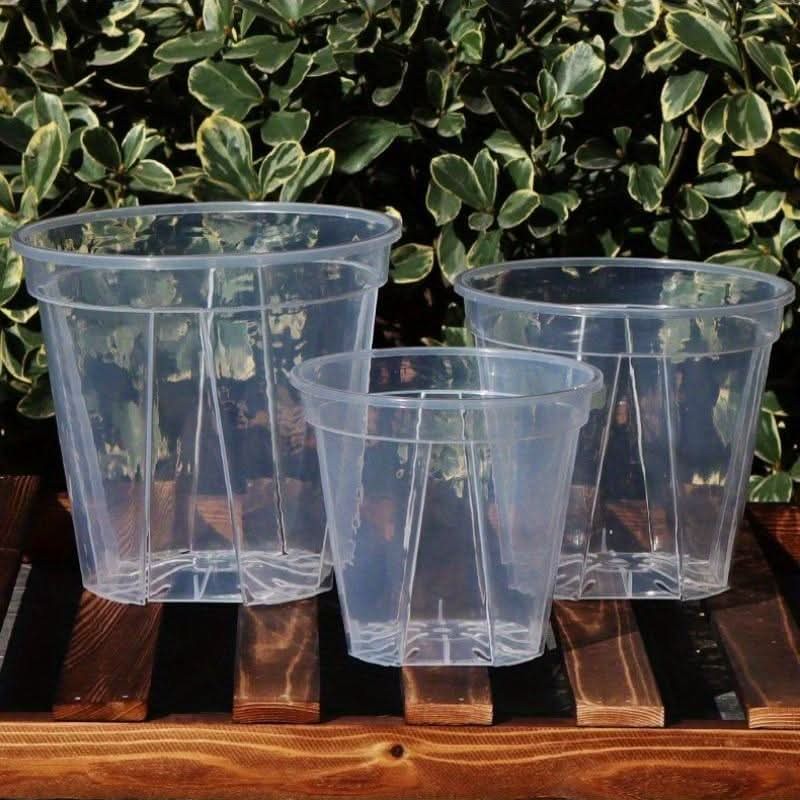 Pots de fleurs transparents avec trous de drainage, lot de 12