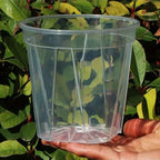 Pots de fleurs transparents avec trous de drainage, lot de 12