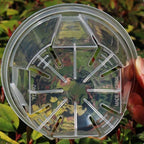 Pots de fleurs transparents avec trous de drainage, lot de 12